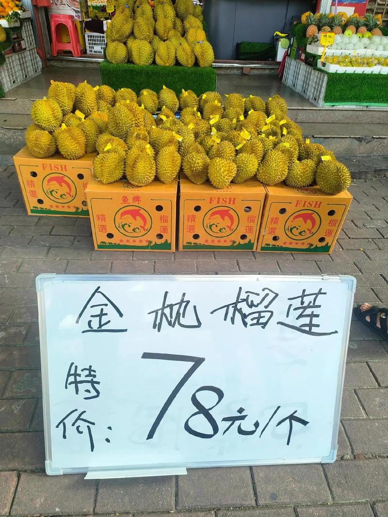 admin 第1138页
