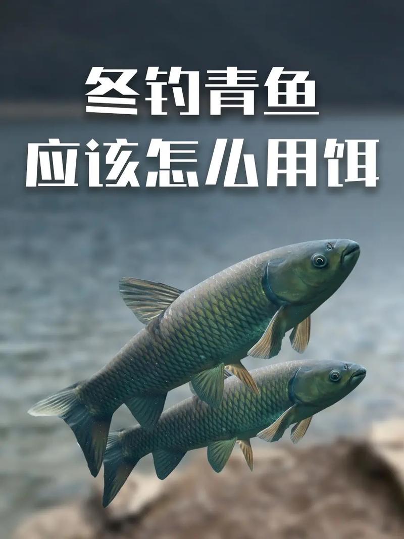 澳门香港