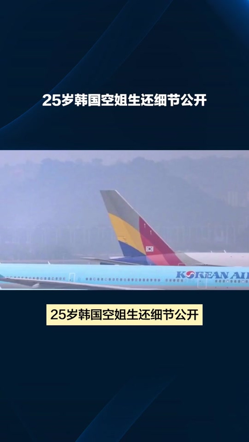 2025年天天开彩免费大全和韩国坠机致4人遇难与韩国坠机事件