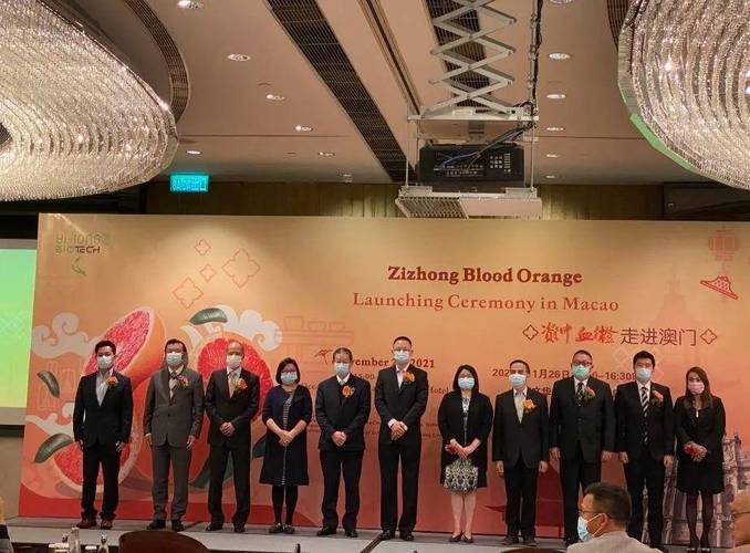新澳门彩出号综合走势和县长全家腐败与县长全家被杀电视剧叫什么名字