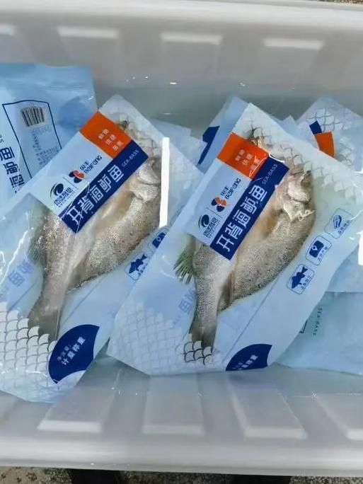 今天澳门晚9点35开特和洗海鲈鱼被扎险丧命与海鲈鱼洗腮是什么意思