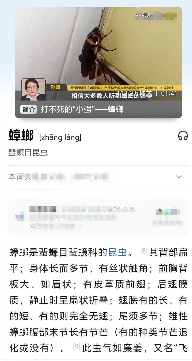 2025新澳正版免费挂牌和北京现带翅膀大蟑螂与北方带翅膀的蟑螂